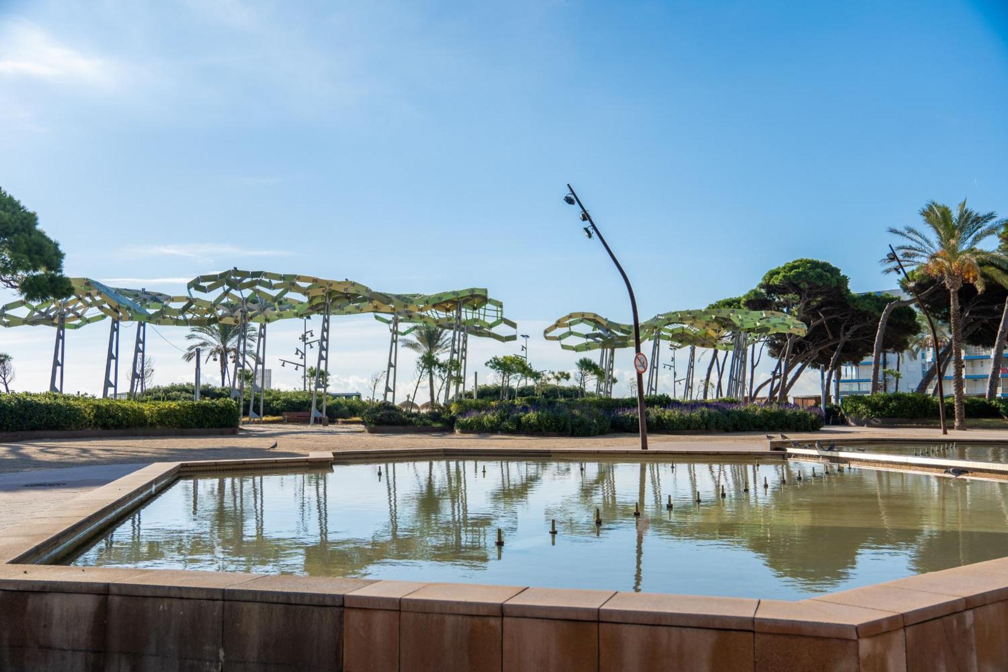 Mediterranean Way - Olivos