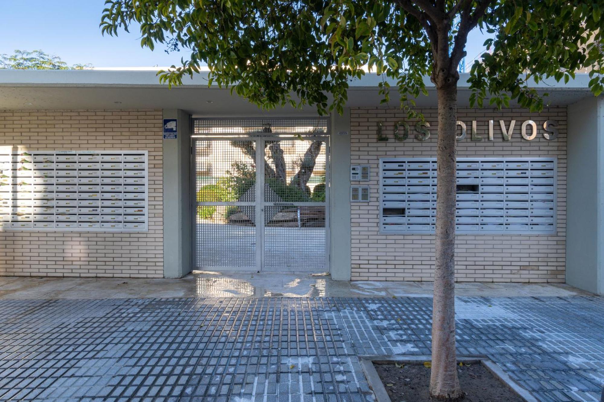Mediterranean Way - Olivos Apartment La Pineda